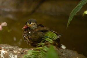 カニフルコースを楽しむ宿泊の年末年始プランは？