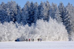 冬限定のカニ旅行に最適な鳥取の宿泊施設はどこですか？