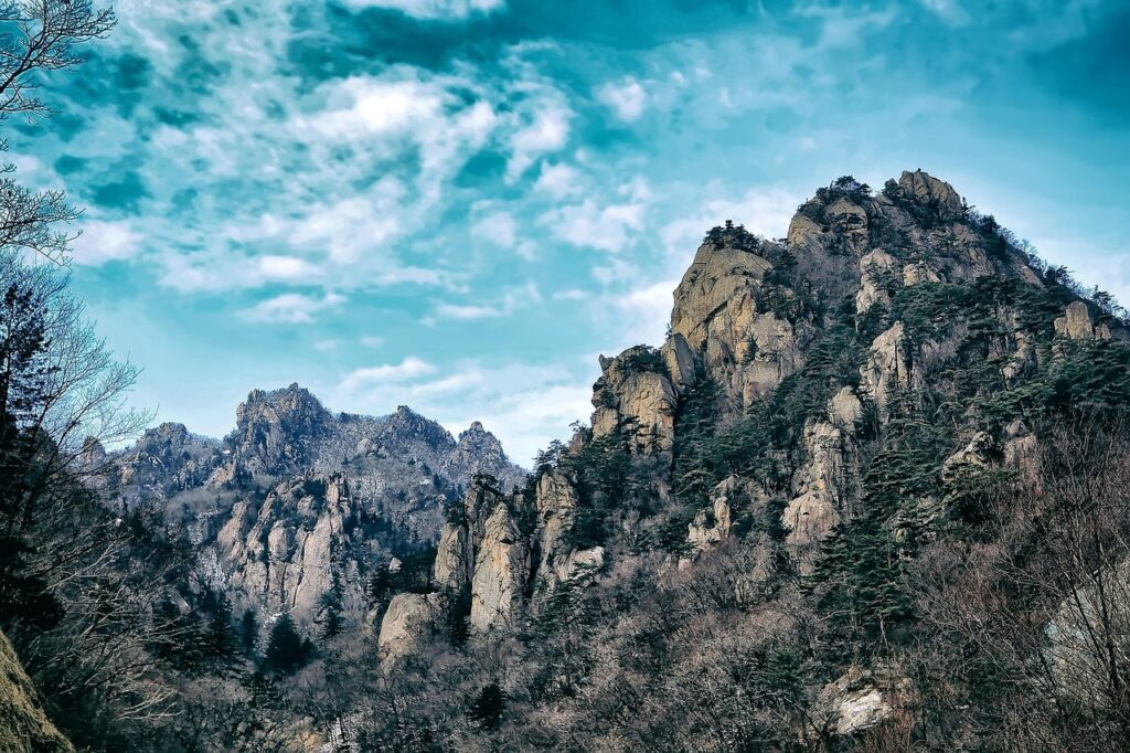 冬限定の活ガニを楽しめる旅館のフルコースは？
