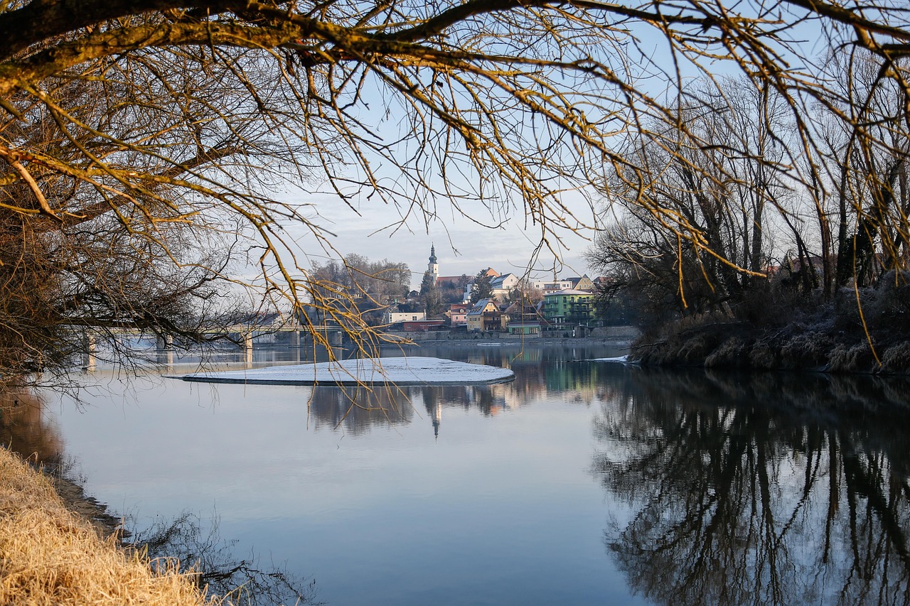 冬限定の活ガニフルコースが楽しめる旅館はどこ？
