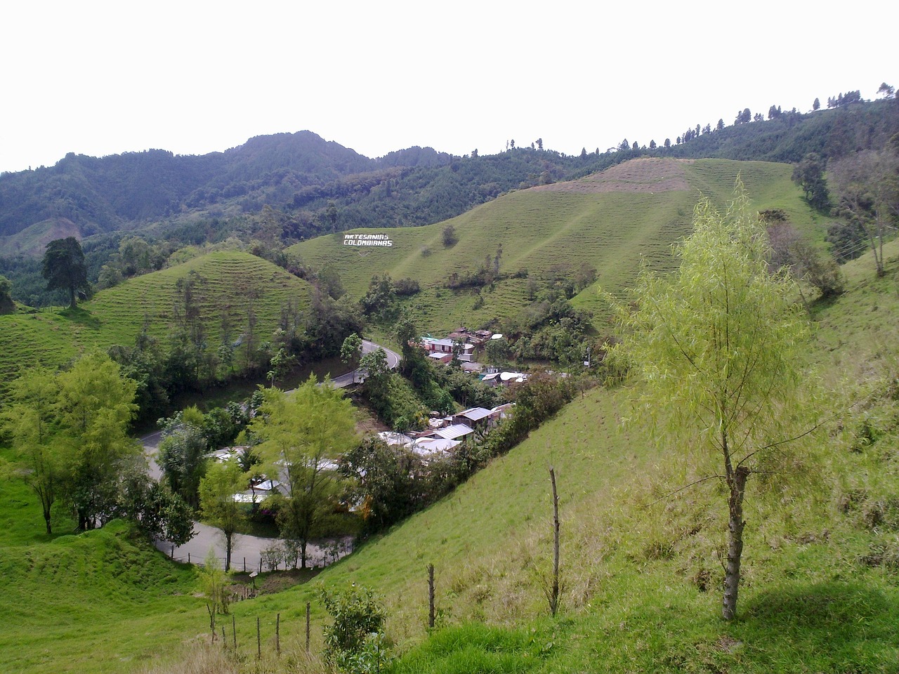 活ガニフルコースを楽しむ旅館の失敗しない選び方は？