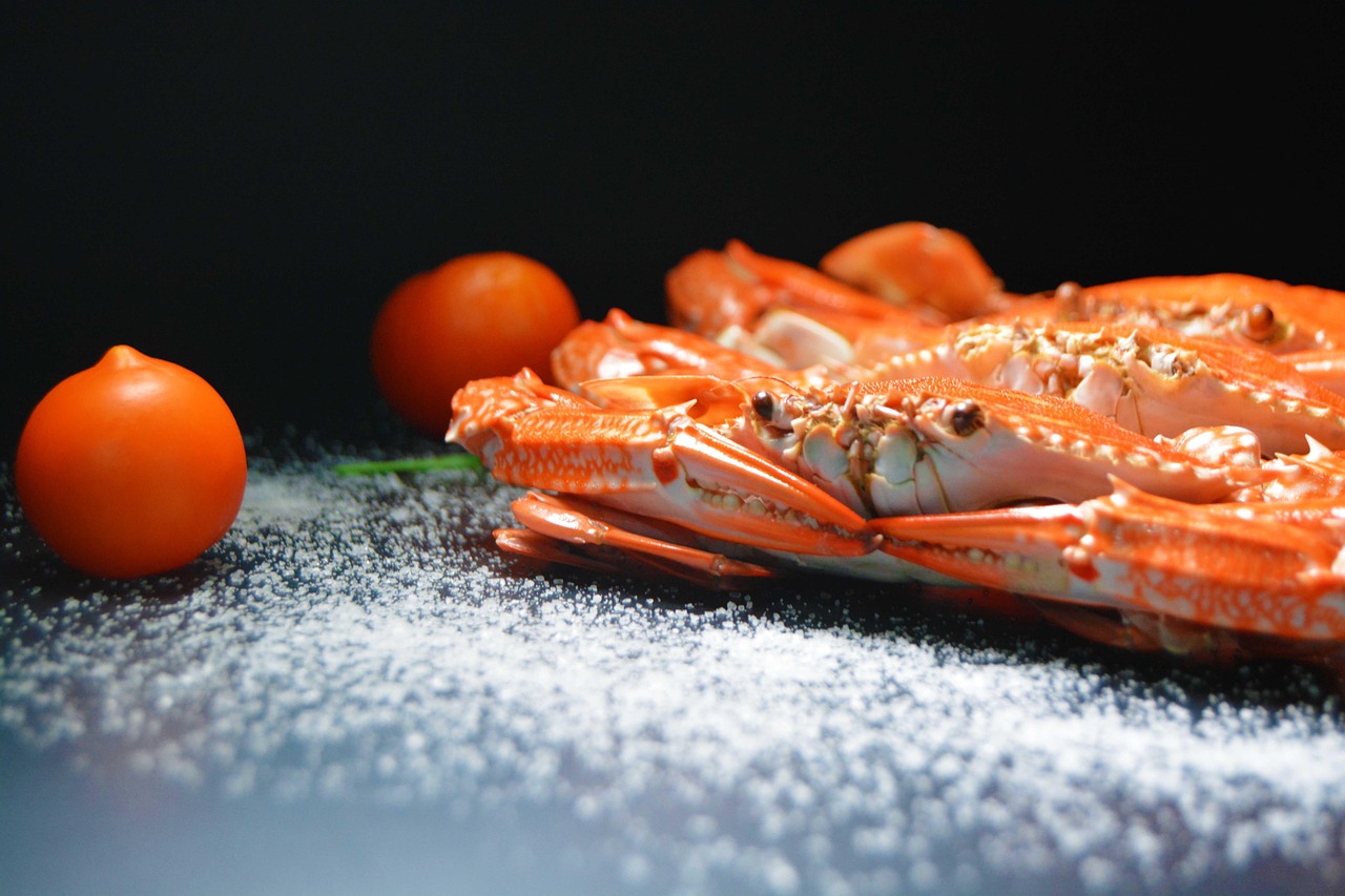 活ガニフルコース宿で冷凍ガニを避ける方法は？