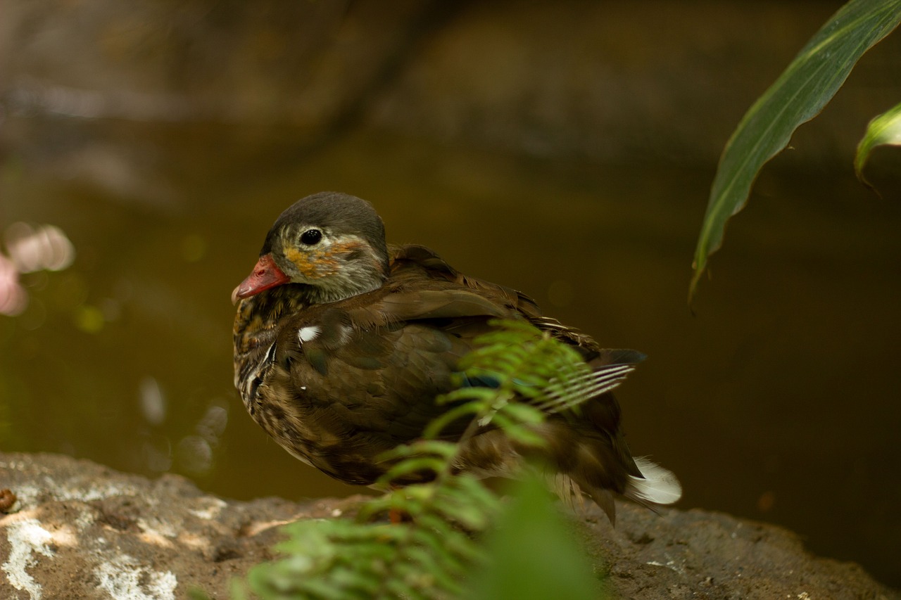 活ガニフルコース宿の年末年始料金は本当に高いのか？