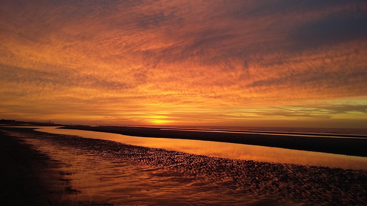 活ガニフルコース宿の口コミを書いて特典をゲットする方法は？