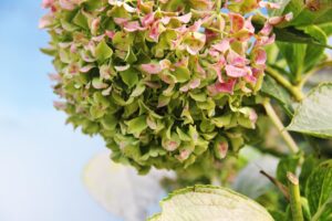 活ガニフルコース宿で食後の過ごし方はこれで決まり？