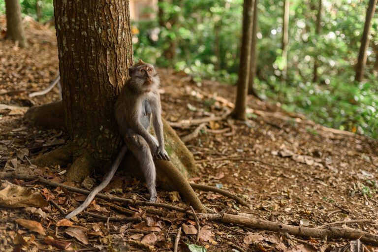 活ガニの予約方法はこれで決まり？